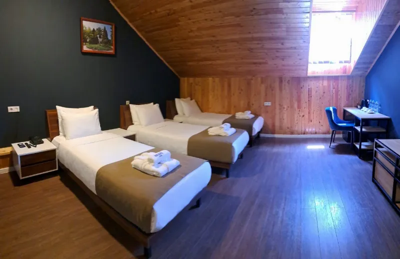 Budget Triple Room — фото 1